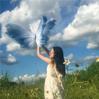 在无爱之森呐喊：深入密森